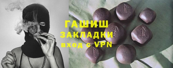 гидра Вязьма