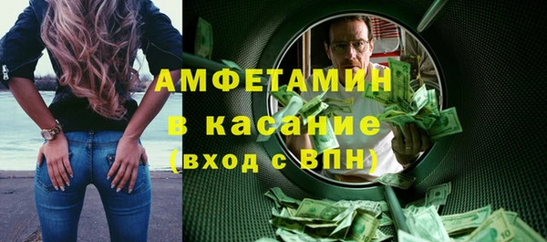гидра Вязьма