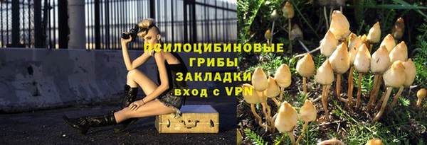 гидра Вязьма