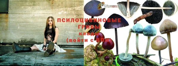 спиды Вязники