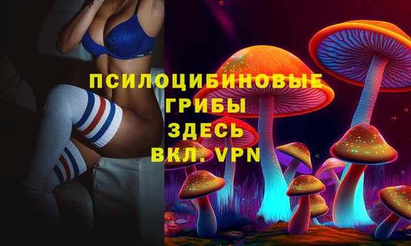 спиды Вязники