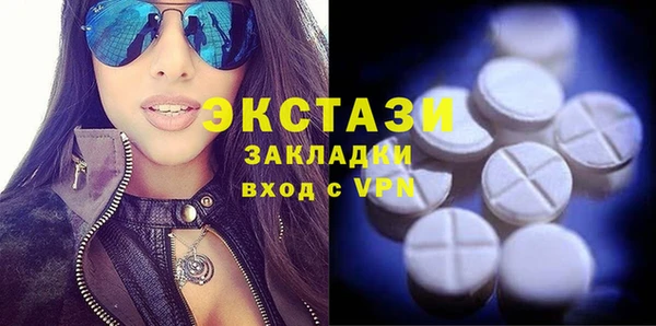 гидра Вязьма