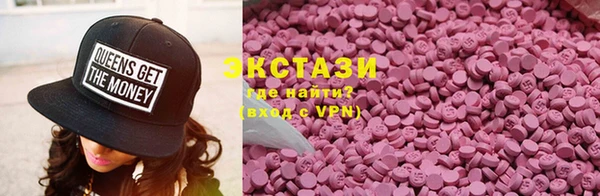гидра Вязьма