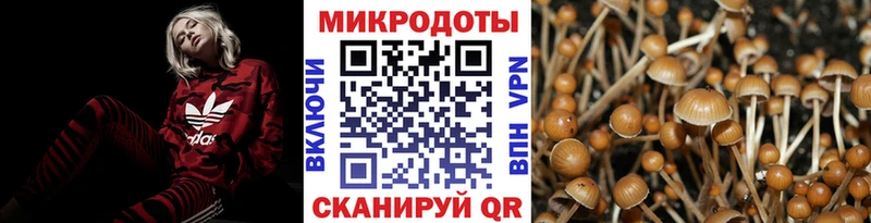 Галлюциногенные грибы Psilocybe  Купить закладки  Сельцо 